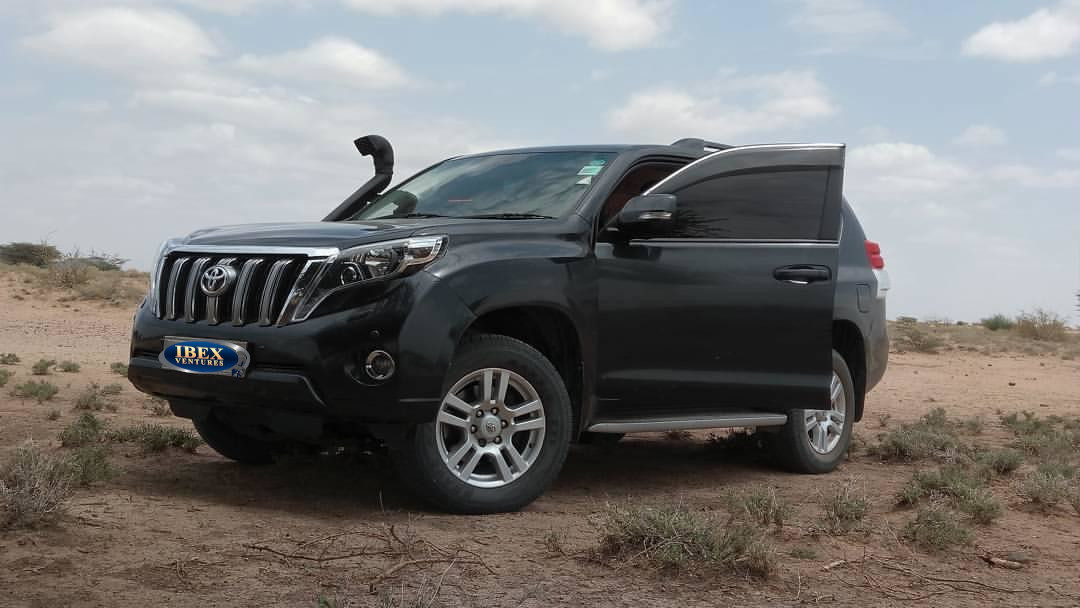 Toyota Prado