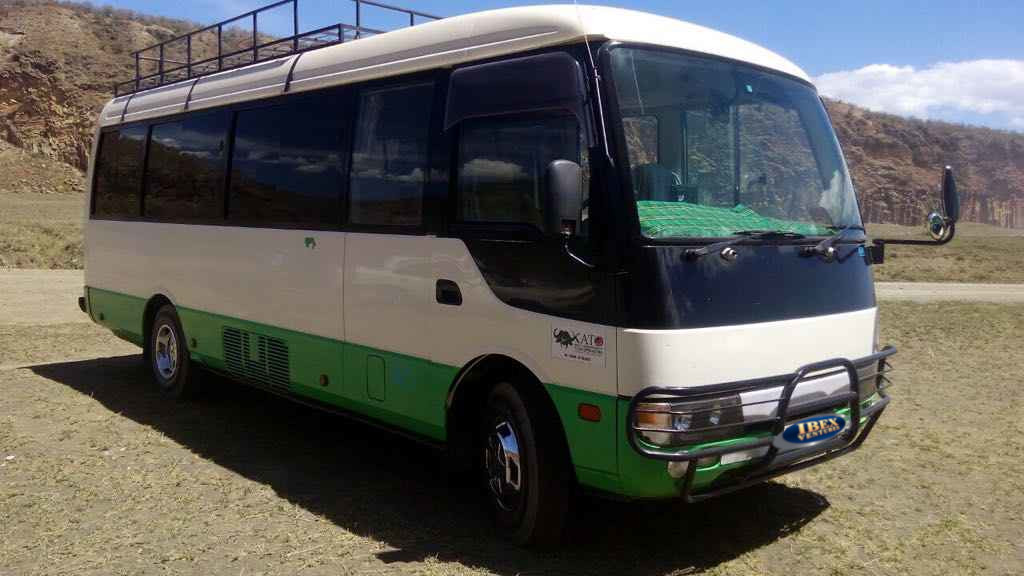Rosa Bus